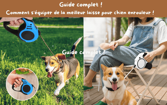 Comment s'equiper de la meilleur laisse pour chien enrouleur ! Guide complet ! - TENDRESSECHIEN