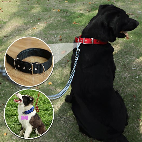 collier chien | Toutouraces - tendressechien.com