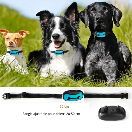 collier de dressage pour chien | Dressos - tendressechien.com