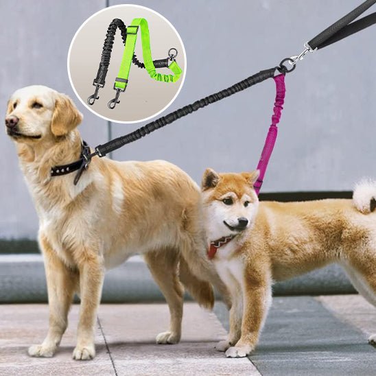 double laisse pour chien | doubleconfort - tendressechien.com