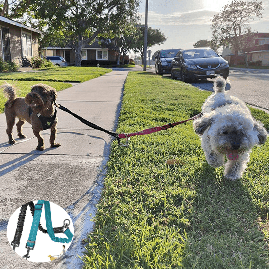 double laisse pour chien | doubleconfort - tendressechien.com