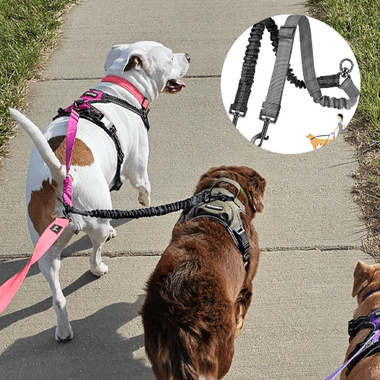 double laisse pour chien | doubleconfort - tendressechien.com