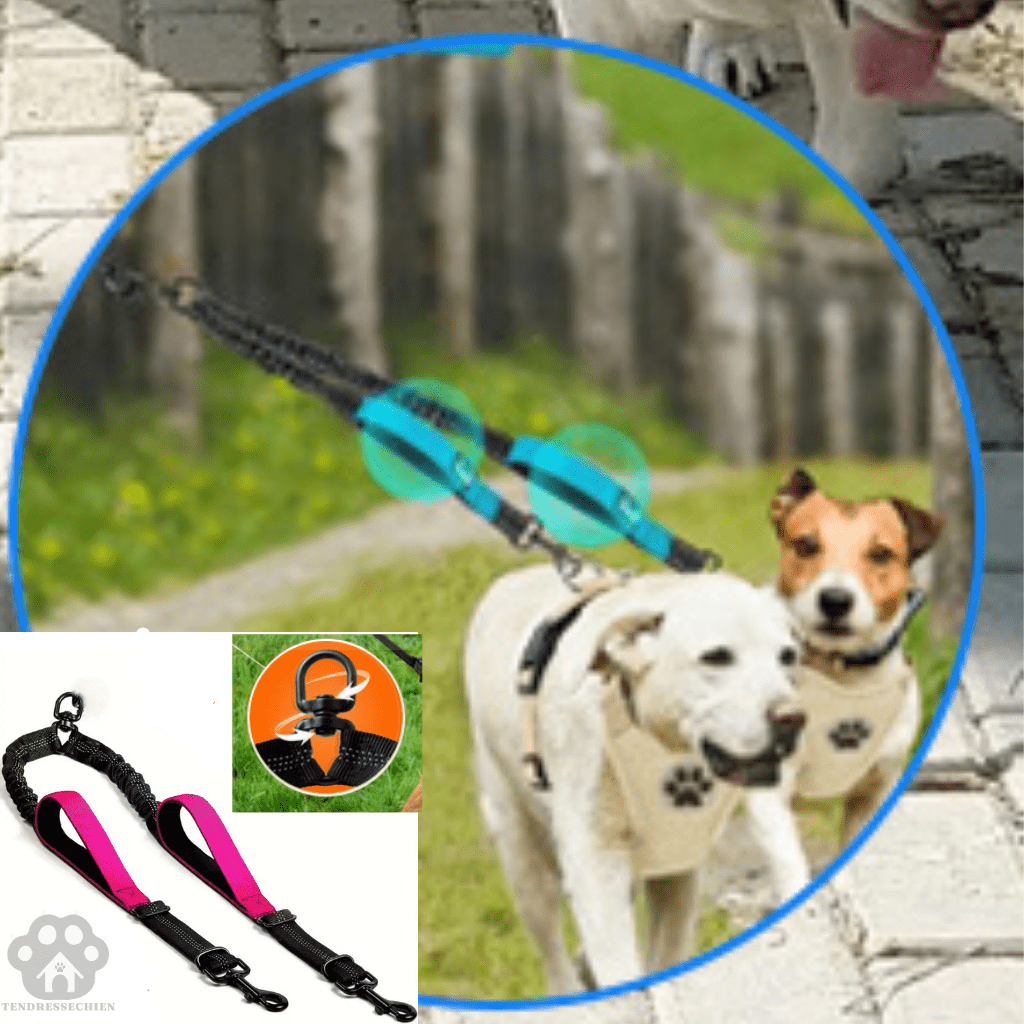 double laisse pour chien | Doublepates - tendressechien.com