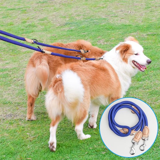 double laisse pour chien | polylaisse - tendressechien.com