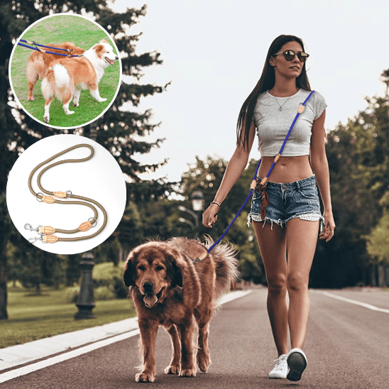 double laisse pour chien | polylaisse - tendressechien.com