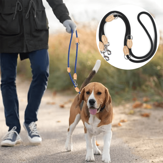 double laisse pour chien | polylaisse - tendressechien.com