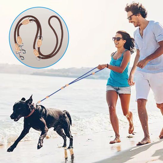double laisse pour chien | polylaisse - tendressechien.com