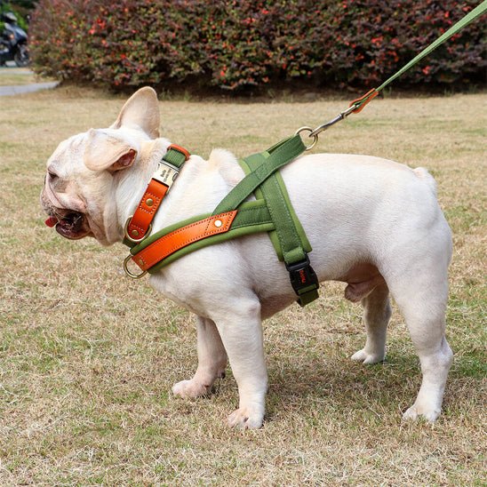 harnais chien anti traction | byetraction - tendressechien.com