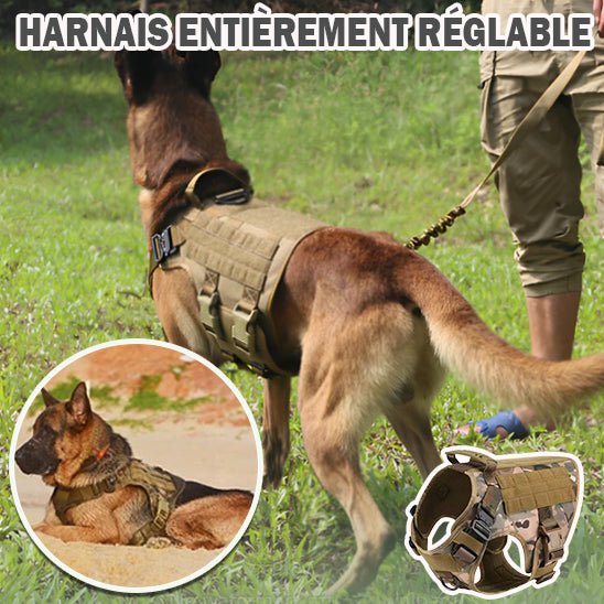 harnais chien | Tactichien - tendressechien.com
