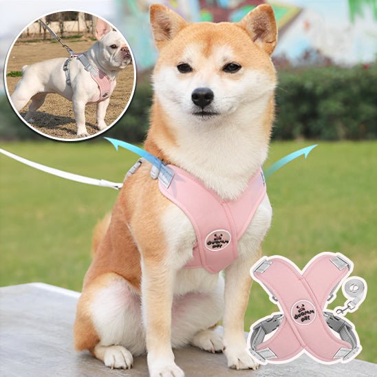 harnais petit chien | Xpates - tendressechien.com