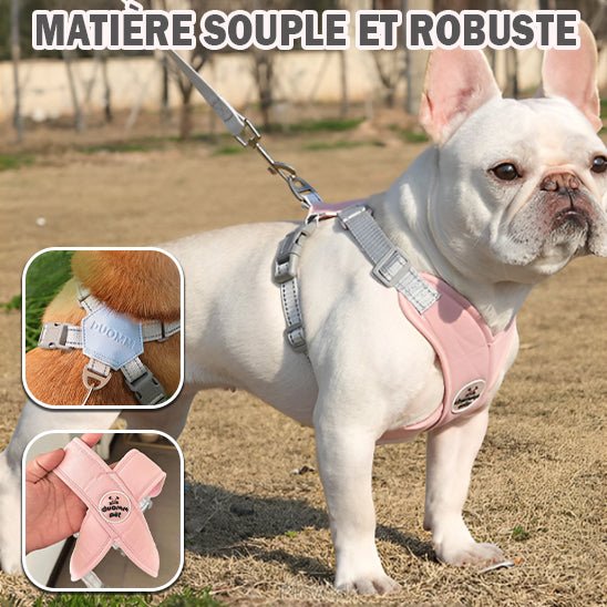 harnais petit chien | Xpates - tendressechien.com