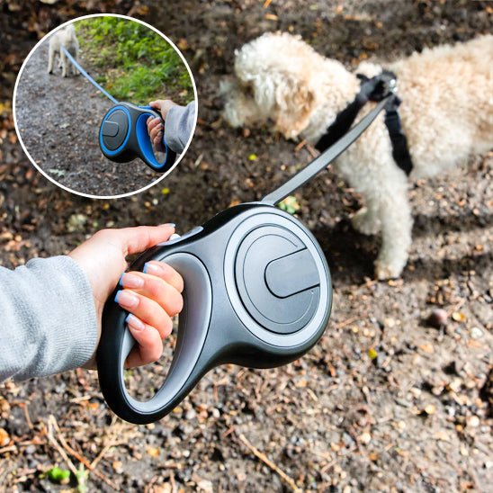laisse enrouleur chien | Enroulex - tendressechien.com