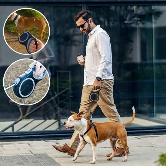 laisse enrouleur chien | Enroulex - tendressechien.com