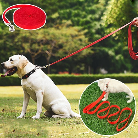 laisse pour chien | balalaisse - tendressechien.com
