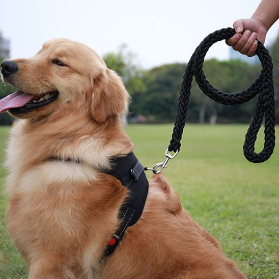 laisse pour chien | Tresschien - tendressechien.com