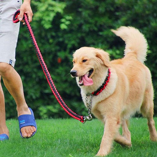 laisse pour chien | Tresschien - tendressechien.com