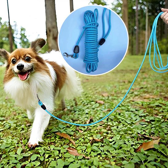 longe chien | Qualilonge - tendressechien.com