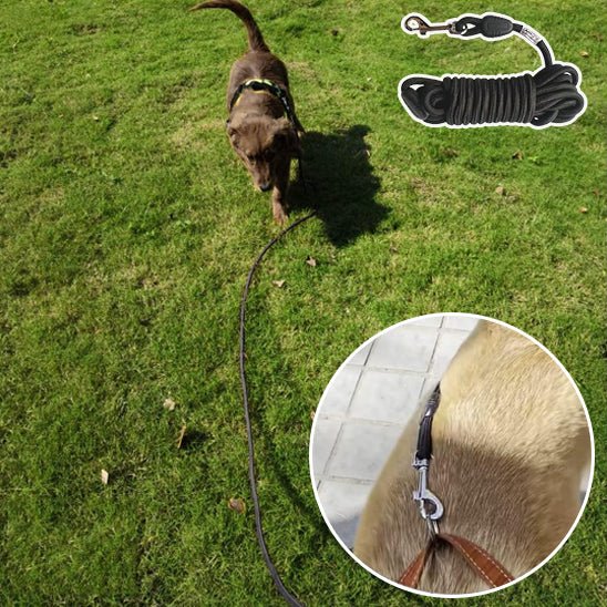 longe chien | Qualilonge - tendressechien.com