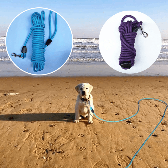 longe chien | Qualilonge - tendressechien.com