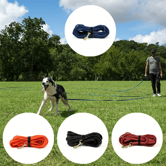 longe pour chien | Maitriselonge - tendressechien.com