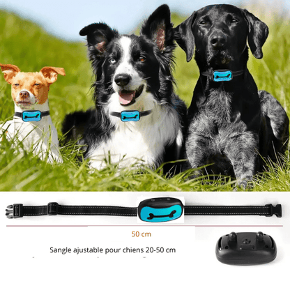 collier de dressage pour chien | Dressos - tendressechien.com