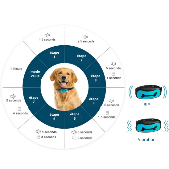 collier de dressage pour chien | Dressos - tendressechien.com