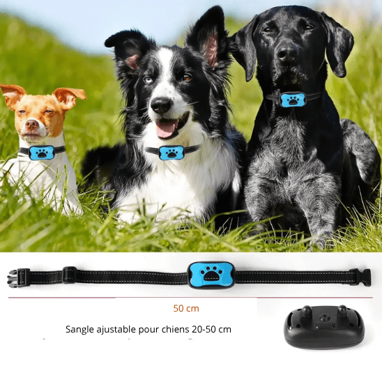 collier de dressage pour chien | Dresspatebleu - tendressechien.com