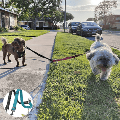 double laisse pour chien | doubleconfort - tendressechien.com
