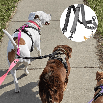 double laisse pour chien | doubleconfort - tendressechien.com
