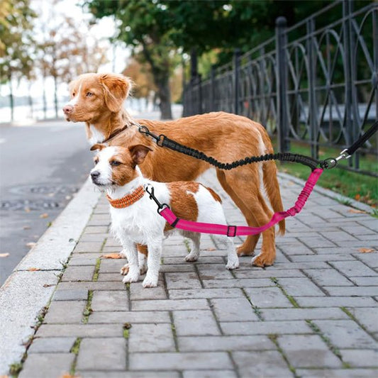 double laisse pour chien | doubleconfort - tendressechien.com