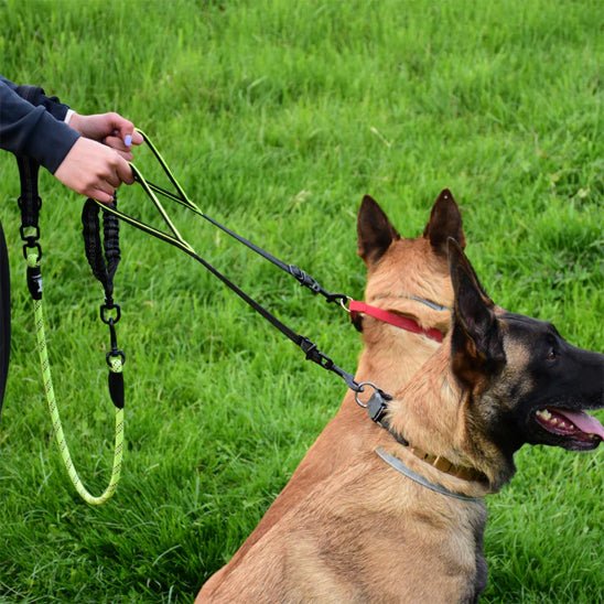 double laisse pour chien | Doublepate - tendressechien.com