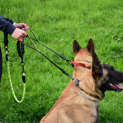 double laisse pour chien | Doublepate - tendressechien.com