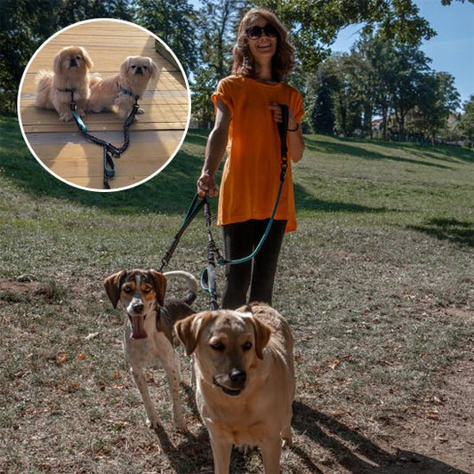 double laisse pour chien | Doublepates - tendressechien.com