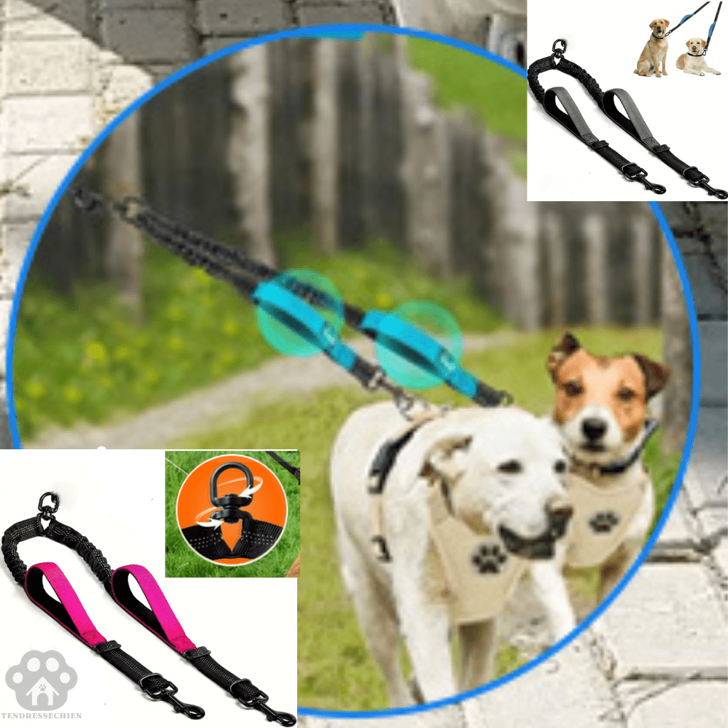 double laisse pour chien | Doublepates - tendressechien.com