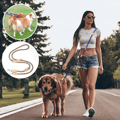 double laisse pour chien | polylaisse - tendressechien.com