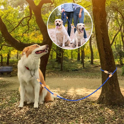 double laisse pour chien | polylaisse - tendressechien.com