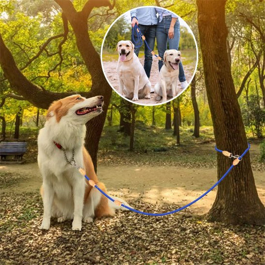 double laisse pour chien | polylaisse - tendressechien.com