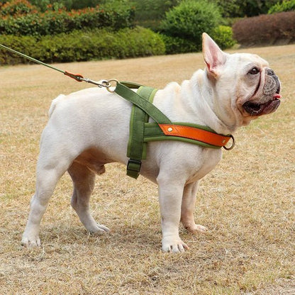 harnais chien anti traction | byetraction - tendressechien.com