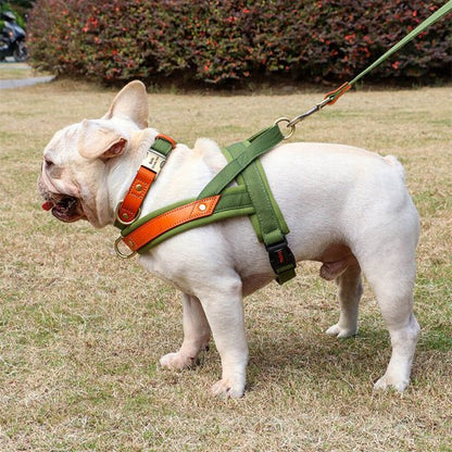 harnais chien anti traction | byetraction - tendressechien.com