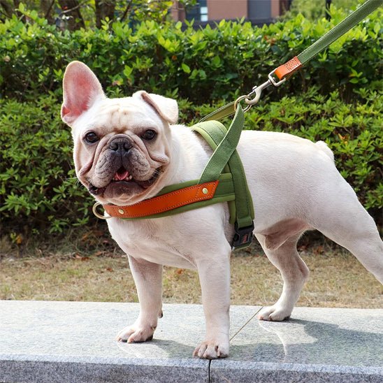 harnais chien anti traction | byetraction - tendressechien.com