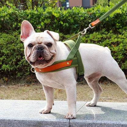harnais chien anti traction | byetraction - tendressechien.com