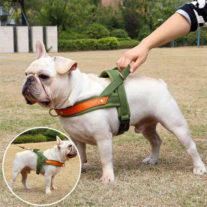 harnais chien anti traction | byetraction - tendressechien.com