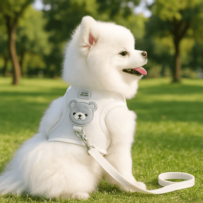 harnais petit chien | Spitzyse - tendressechien.com