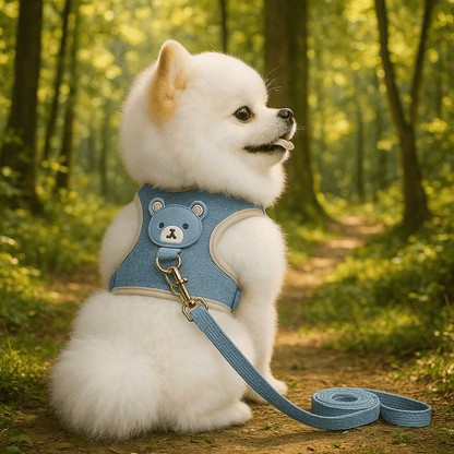 harnais petit chien | Spitzyse - tendressechien.com