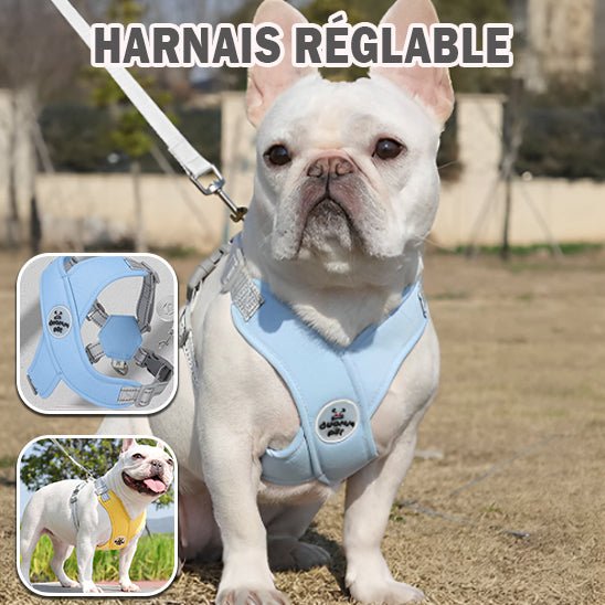 harnais petit chien | Xpates - tendressechien.com
