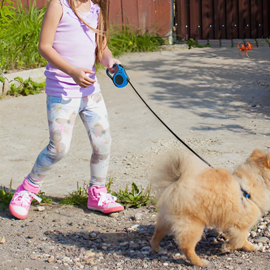 laisse à enrouleur pour chien | Balalex - tendressechien.com