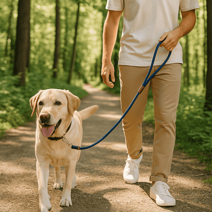laisse chien | fidlaisse - tendressechien.com