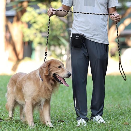 laisse chien | fidlaisse - tendressechien.com