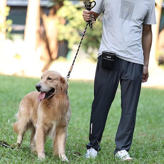 laisse chien | fidlaisse - tendressechien.com