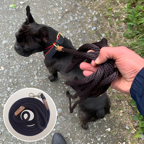 laisse chien | fidlaisse - tendressechien.com